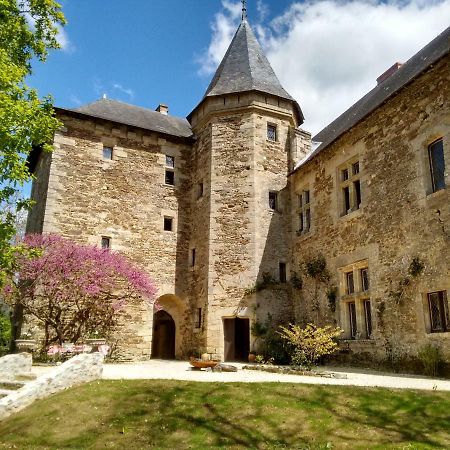 Chateau De Chanze Faye-d'Anjou Εξωτερικό φωτογραφία